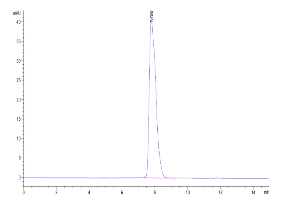 NYESO1-HP004 SEC-HPLC result