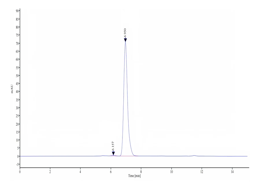 NYESO1-HP005 SEC-HPLC result