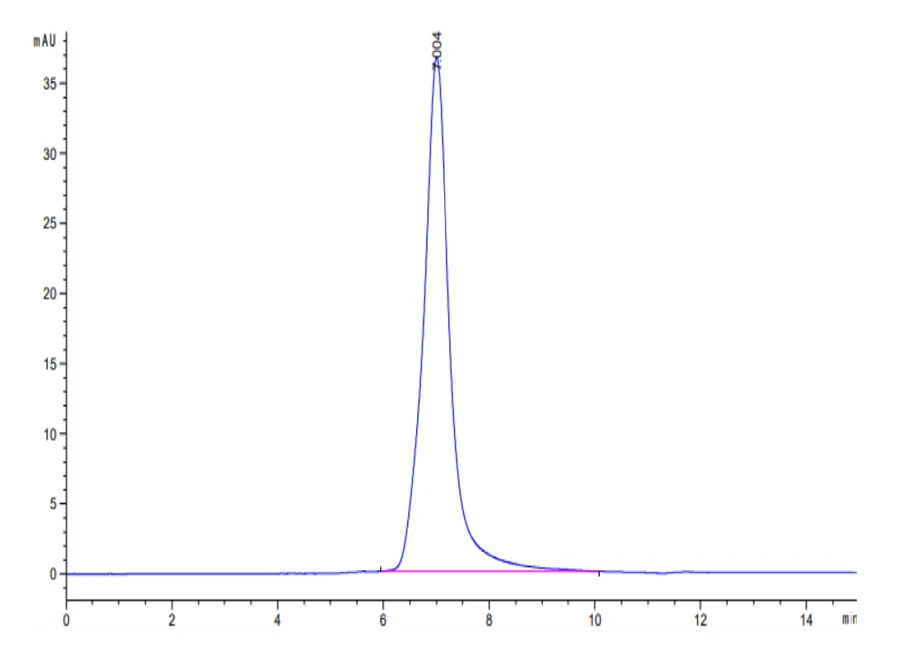 NYESO1-HP006 SEC-HPLC result