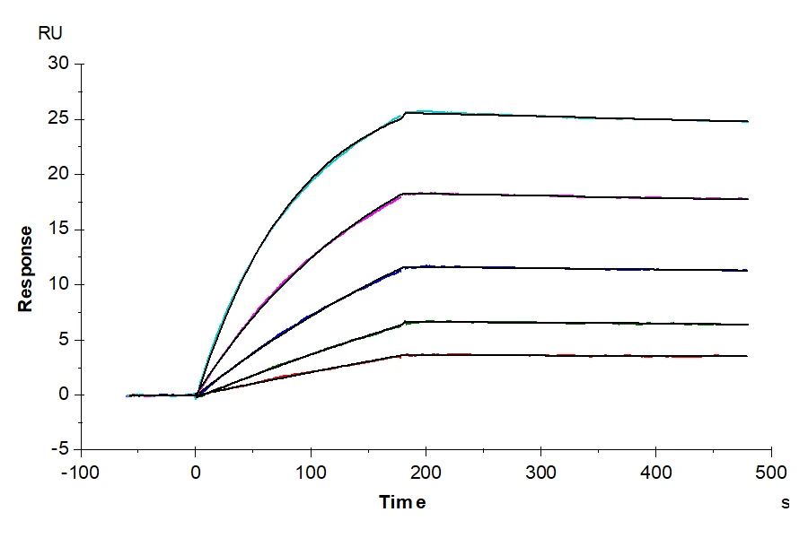NYESO1-HP006 SPR result