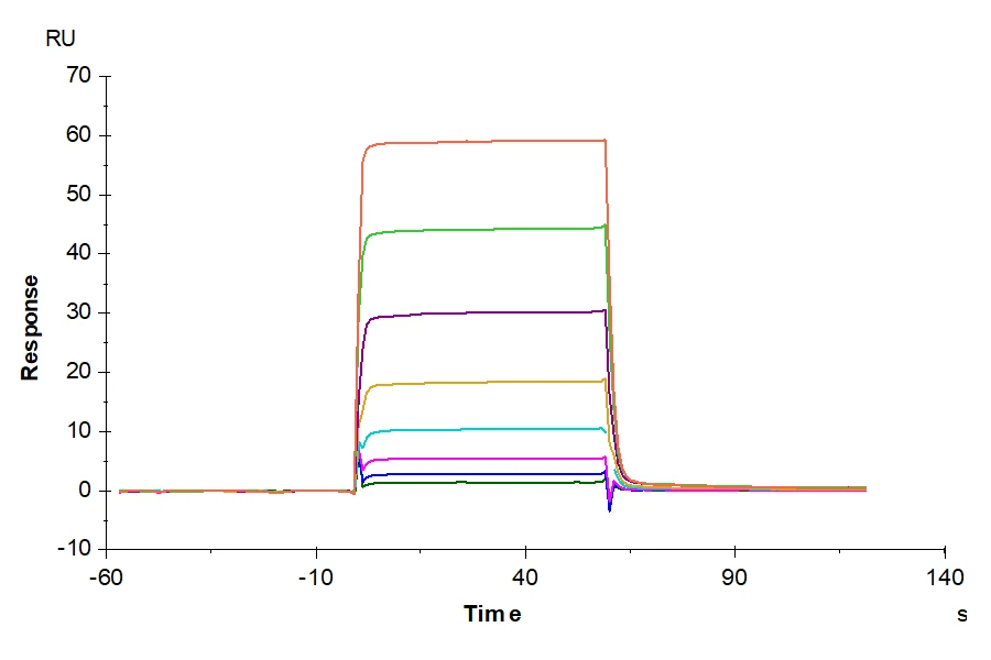 OSM-HB001 SPR result