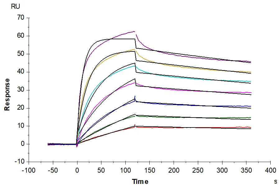 OX40-HB001 SPR result