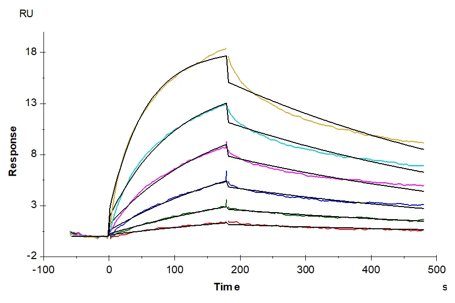 OX40-HB004 SPR result