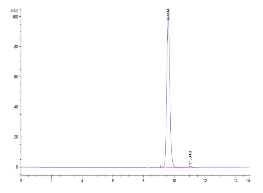 P53R175H-HB001 SEC-HPLC result