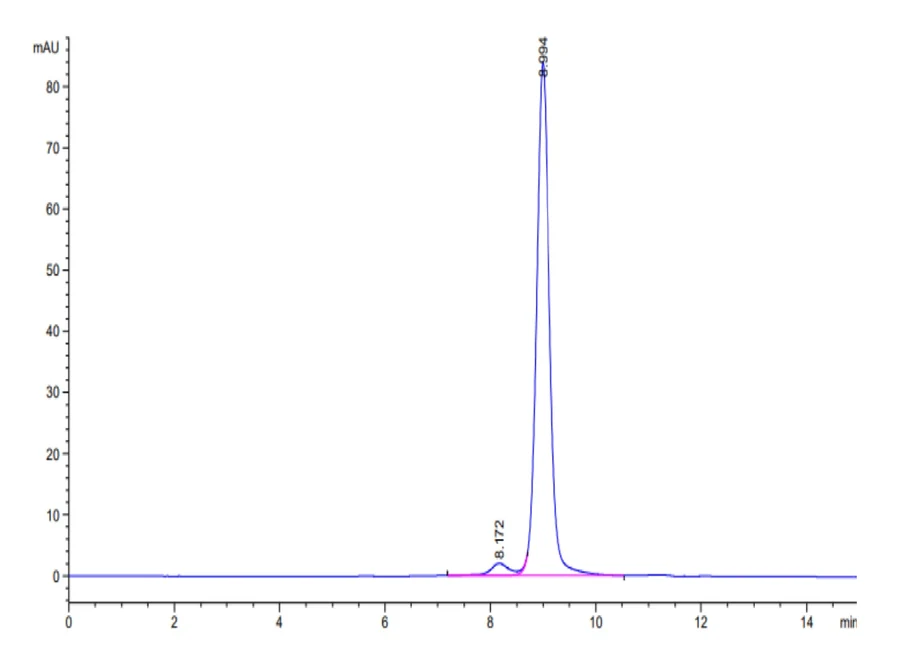 P53R175H-HB002 SEC-HPLC result