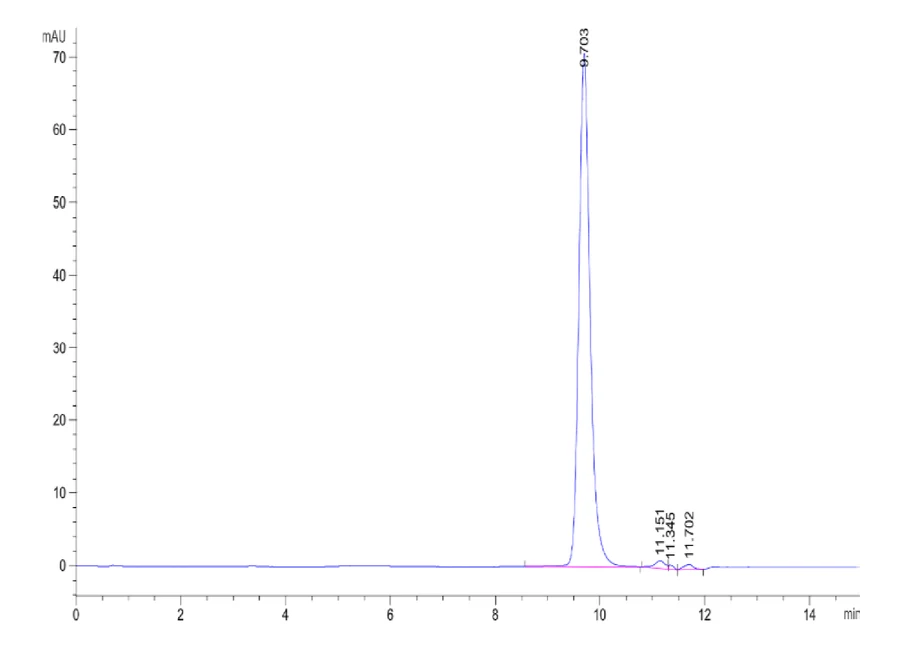 P53R175H-HP002 SEC-HPLC result