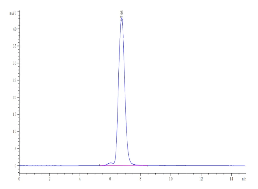 P53R175H-HP003 SEC-HPLC result