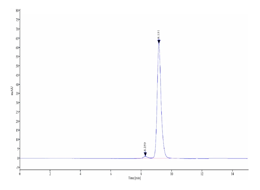 P53R175H-HP006 SEC-HPLC result