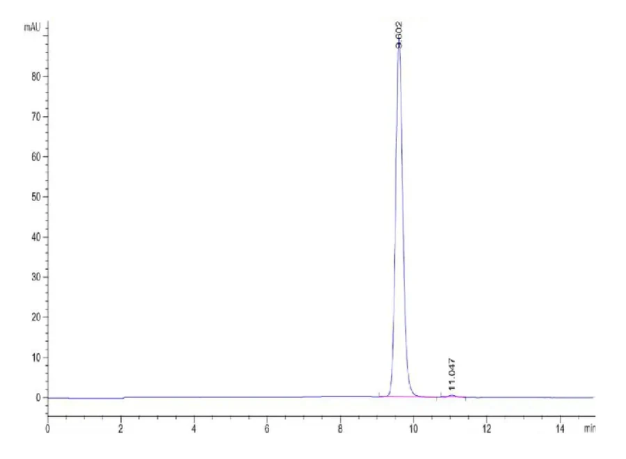 P53WT-HB001 SEC-HPLC result