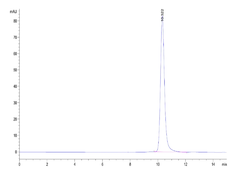 P53WT-HB002 SEC-HPLC result