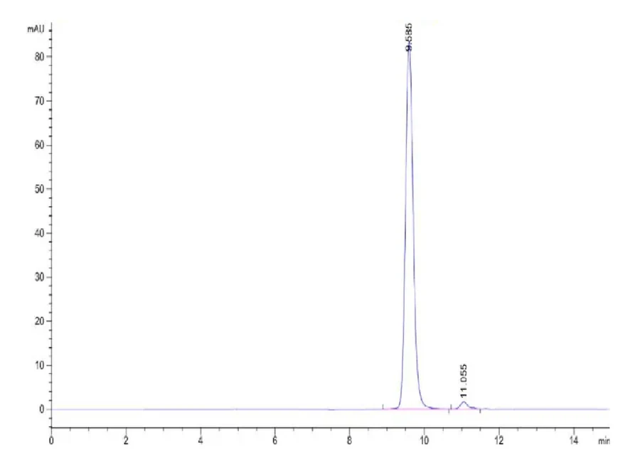 P53WT-HP001 SEC-HPLC result