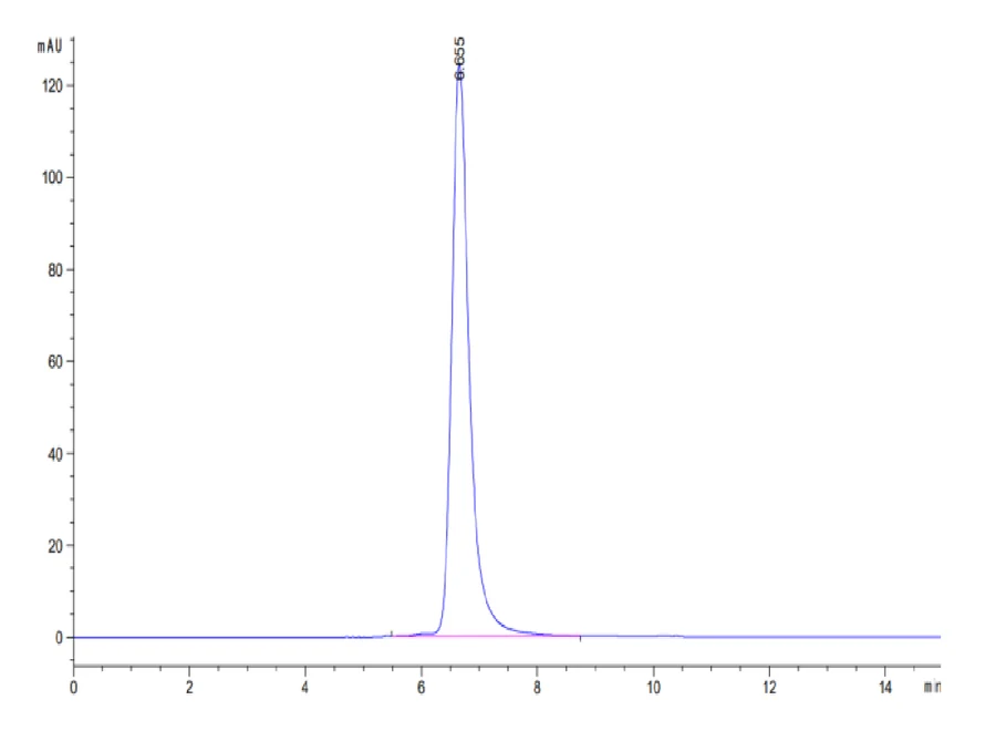P53WT-HP002 SEC-HPLC result