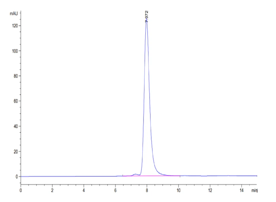 P53WT-HP003 SEC-HPLC result
