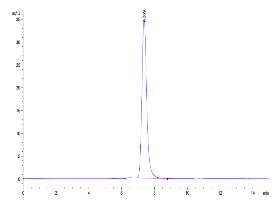 PD1-CP003 SEC-HPLC result