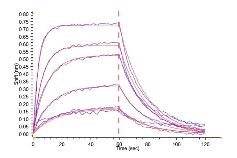 PD1-CP004 BLI result