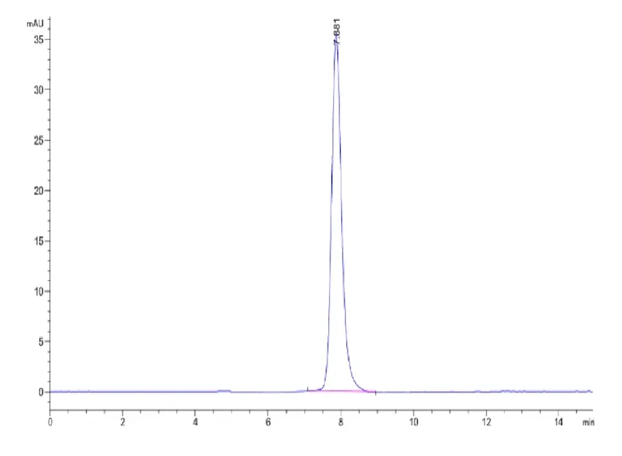 PD1-DP001 SEC-HPLC result