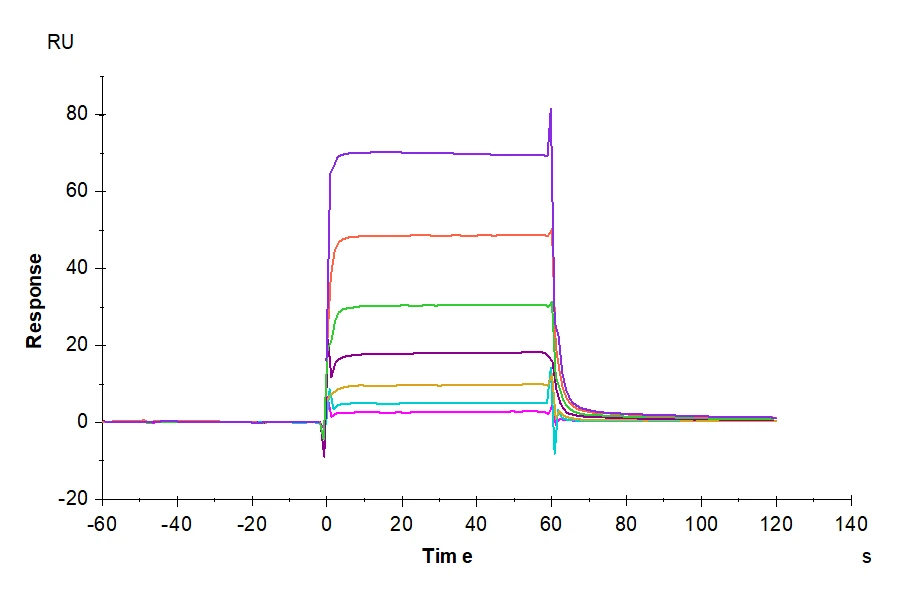 PD1-HB005 SPR result