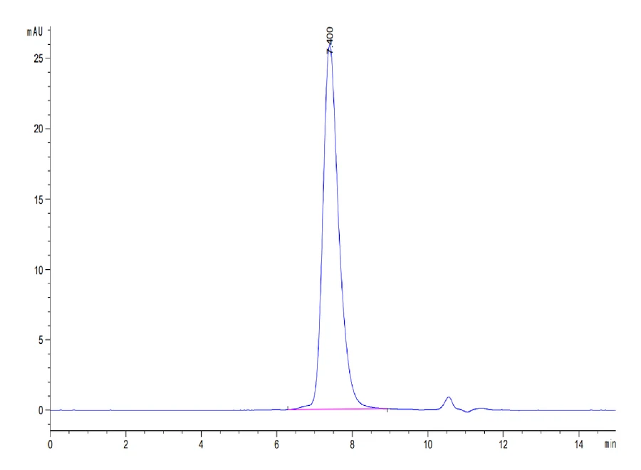 PD1-HB006 SEC-HPLC result