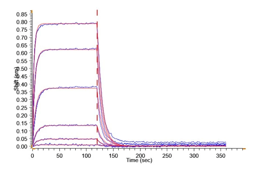 PD1-HP001 BLI result