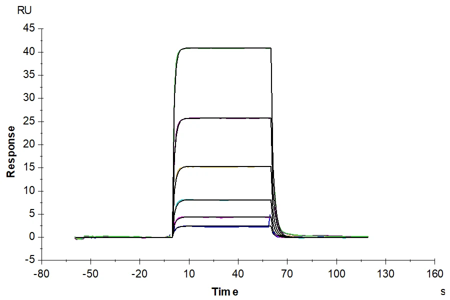 PD1-HP002 SPR result
