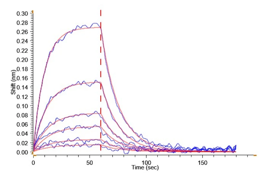 PD1-HP004 BLI result