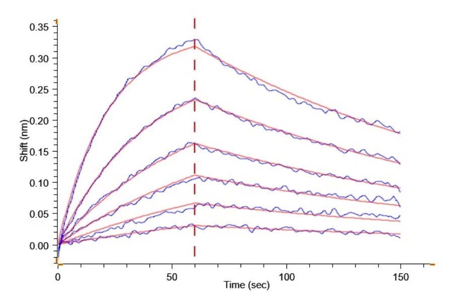 PD1-HP007 BLI result