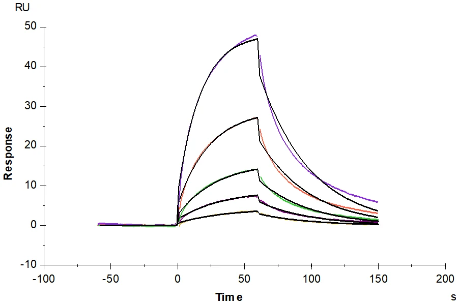 PD1-MB003 SPR result