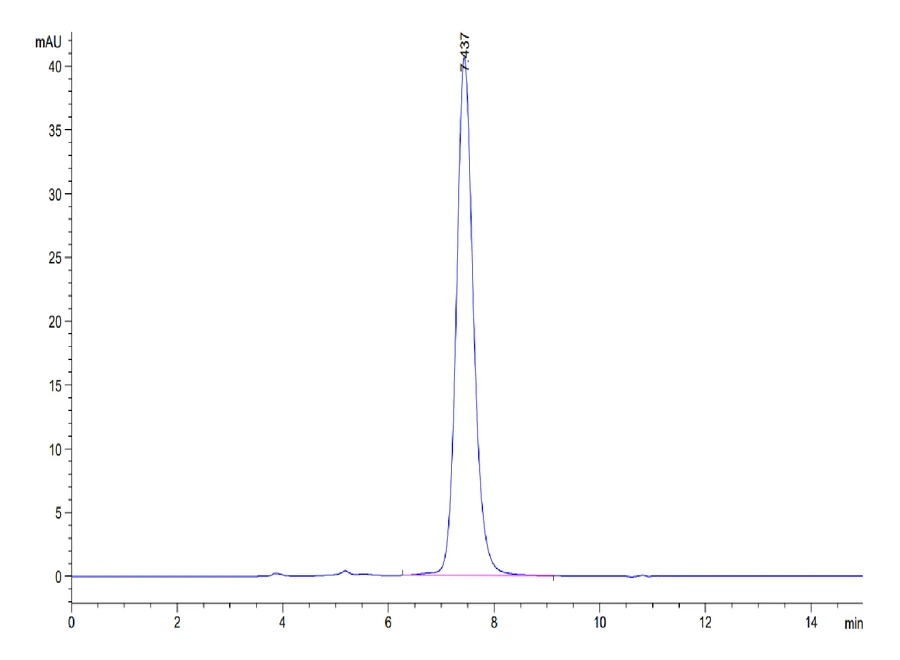 PD1-MP002 SEC-HPLC result