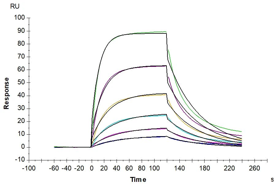 PD1-MP002 SPR result