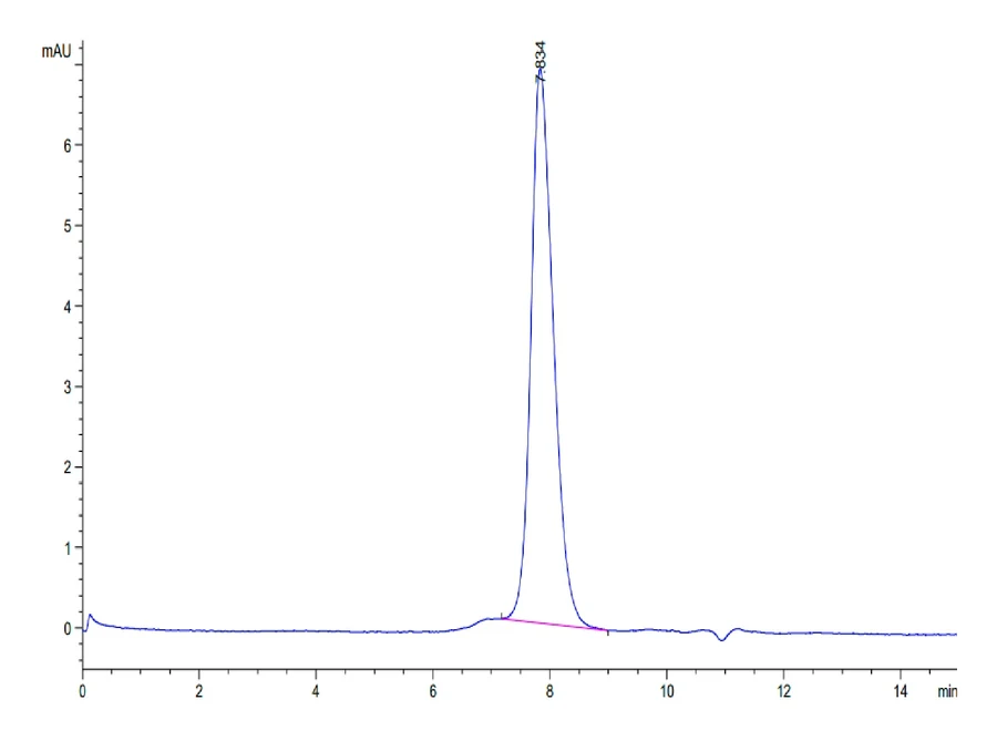 PDL1-CP001 SEC-HPLC result