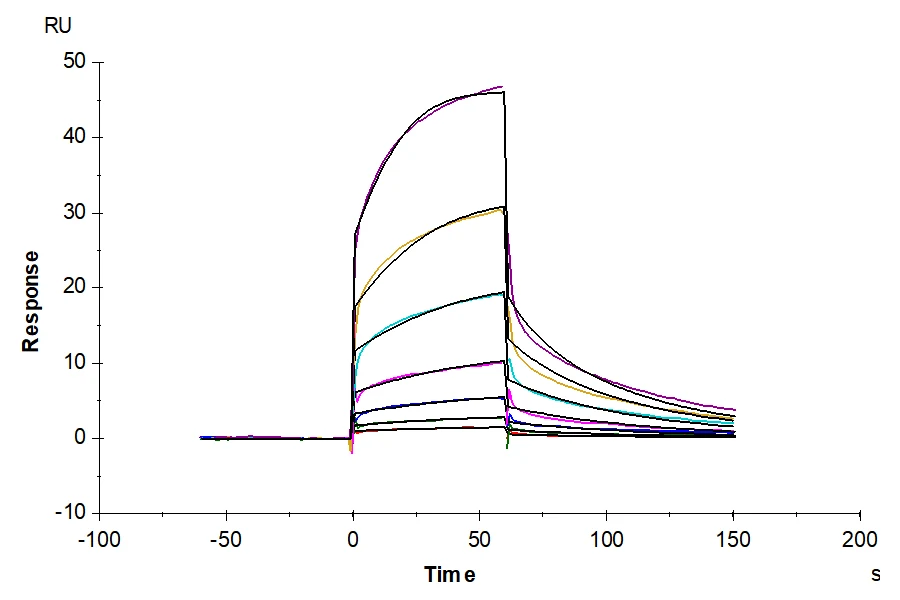 PDL1-HP001 SPR result
