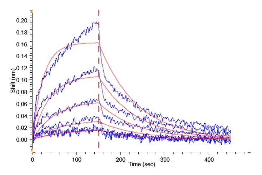 PDL1-HP002 BLI result