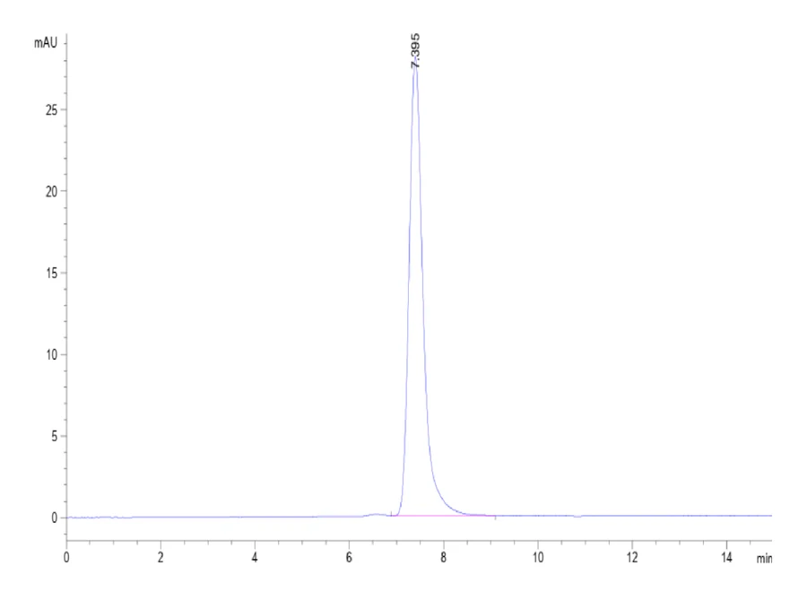 PDL1-HP006 SEC-HPLC result