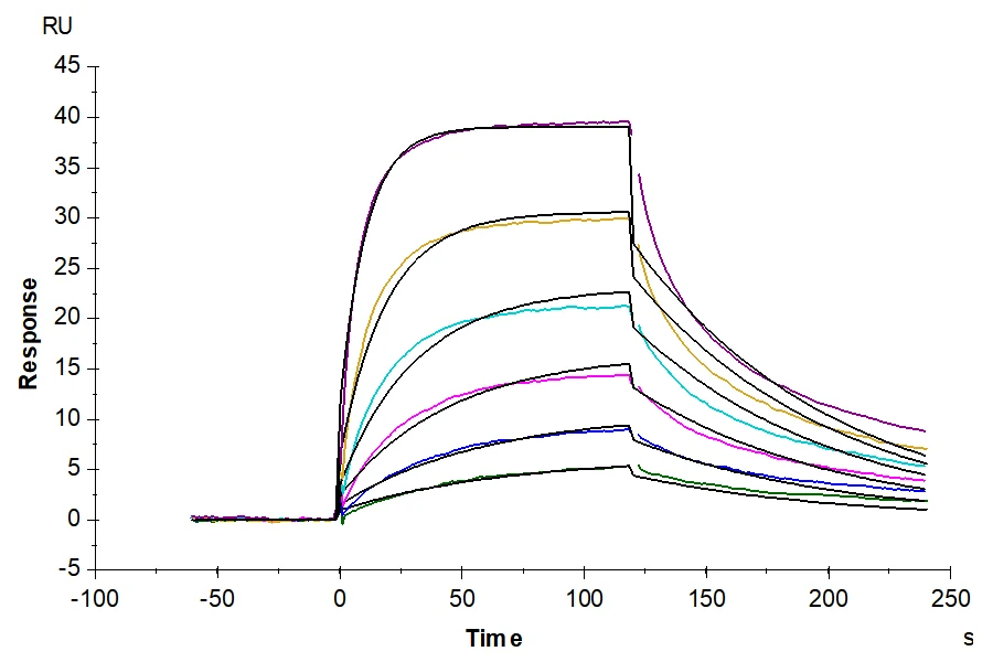 PDL1-MB003 SPR result