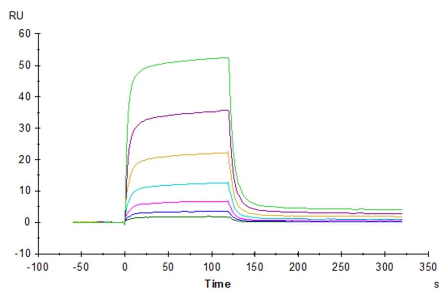PDL2-HB003 SPR result