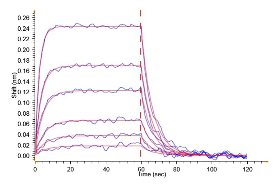 PDL2-HF001 BLI result