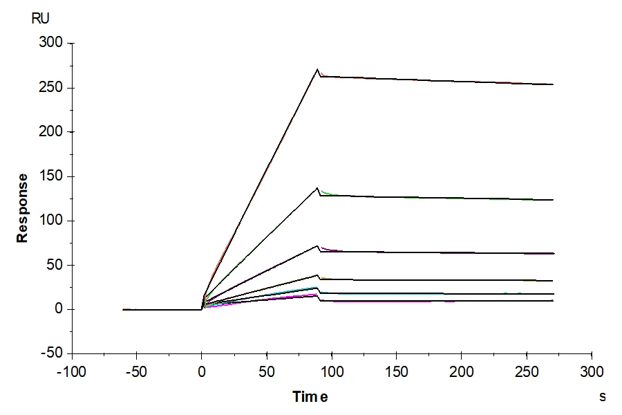 PLAU-MB001 SPR result
