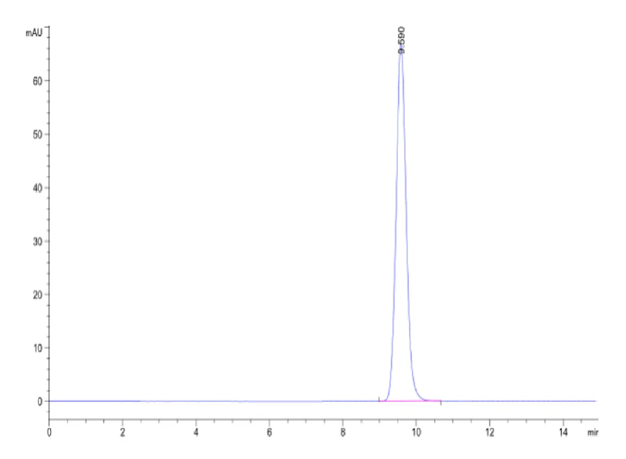 PRAME-HB003 SEC-HPLC result
