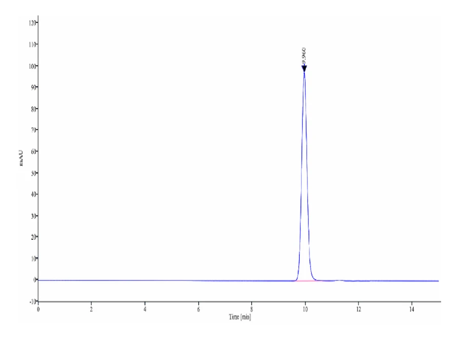 PRAME-HB004 SEC-HPLC result