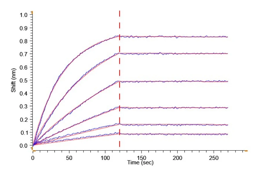 PRAME-HP005 BLI result