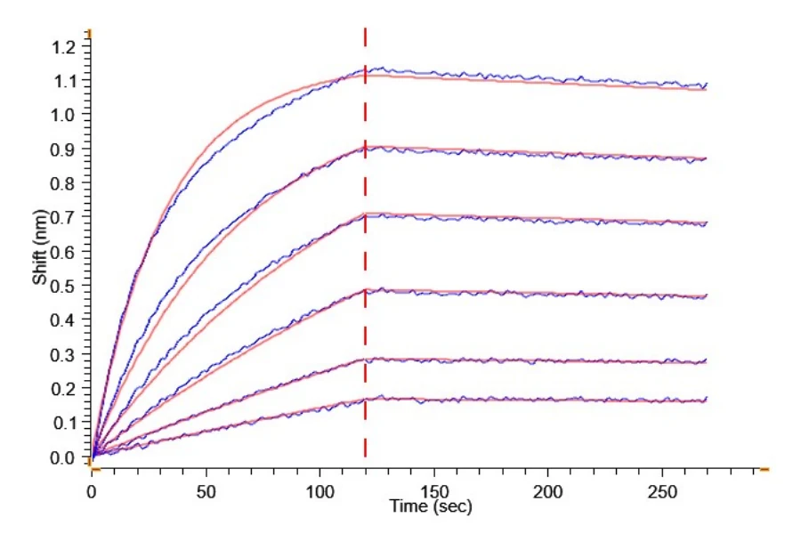 PSMA-HP001 BLI result