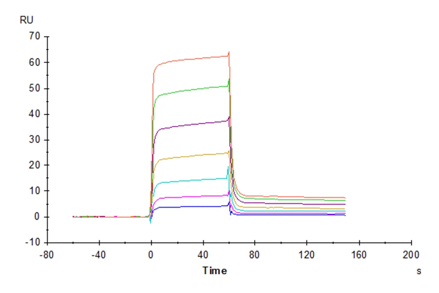 PVRIG-CP002 SPR result