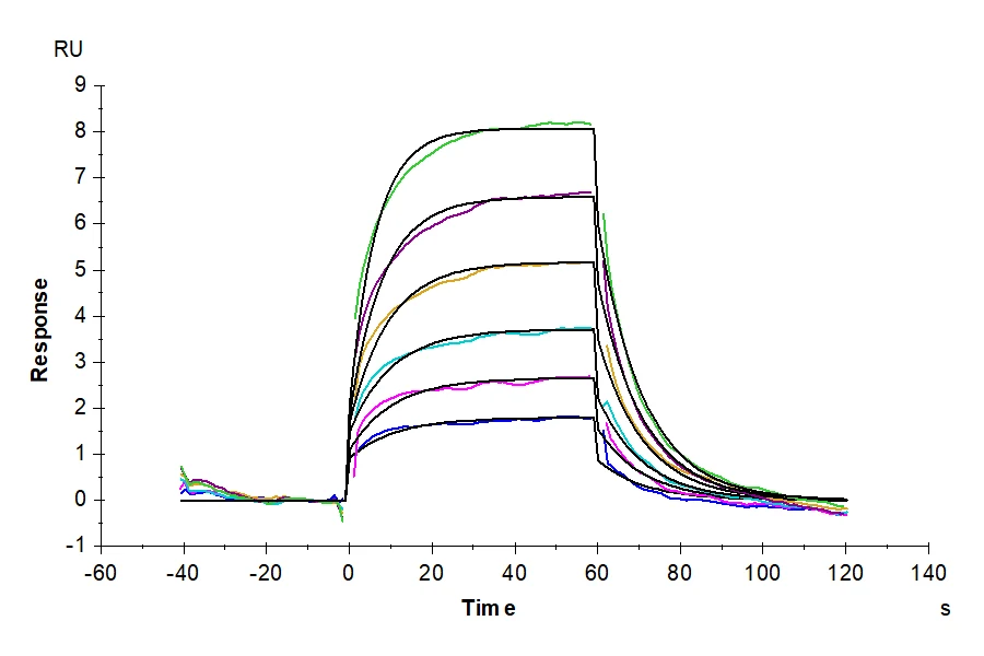 PVRIG-MB001 SPR result