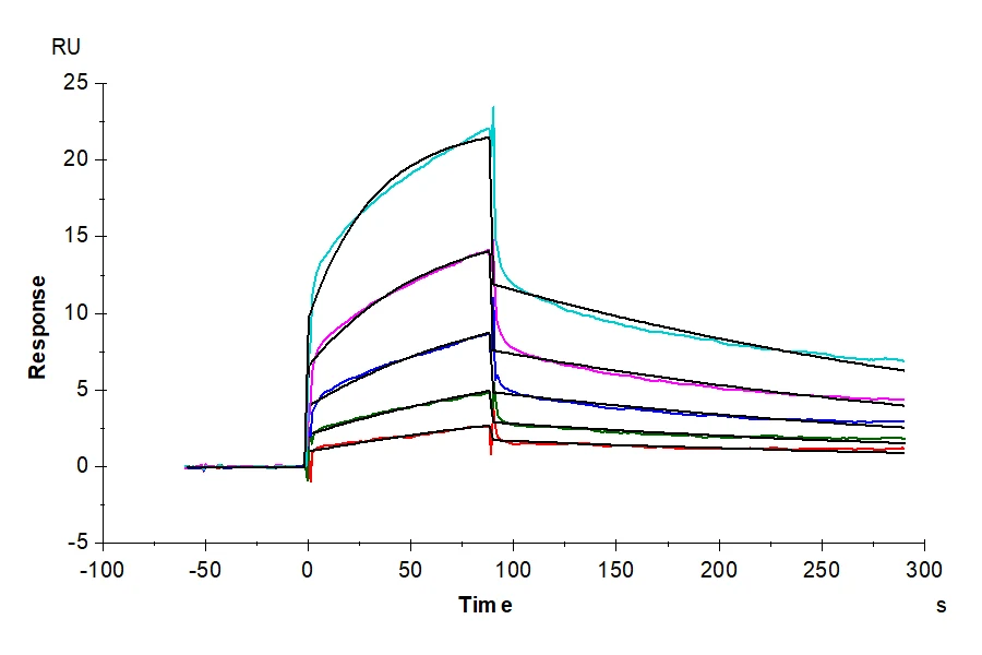 PVRL1-HB001 SPR result