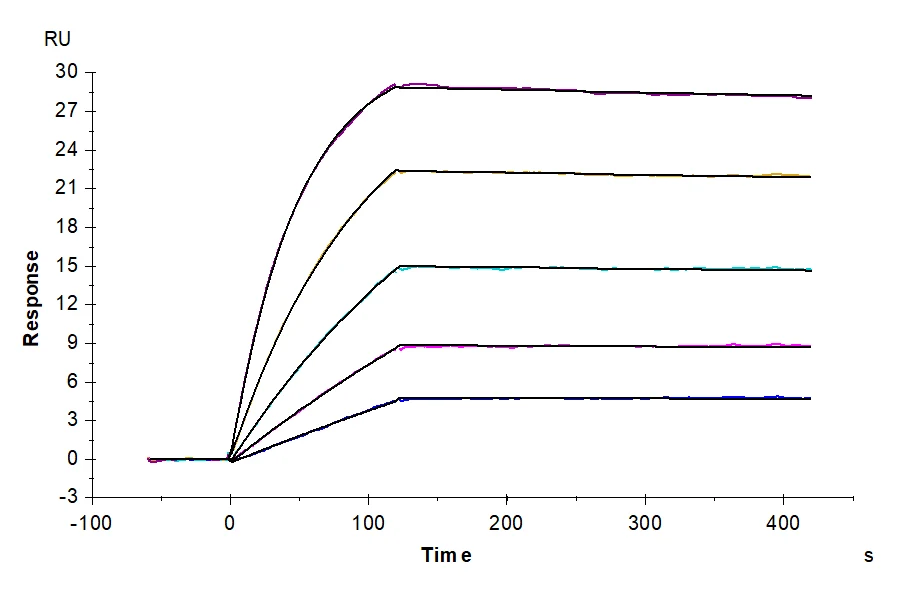RANKL-HP001 SPR result