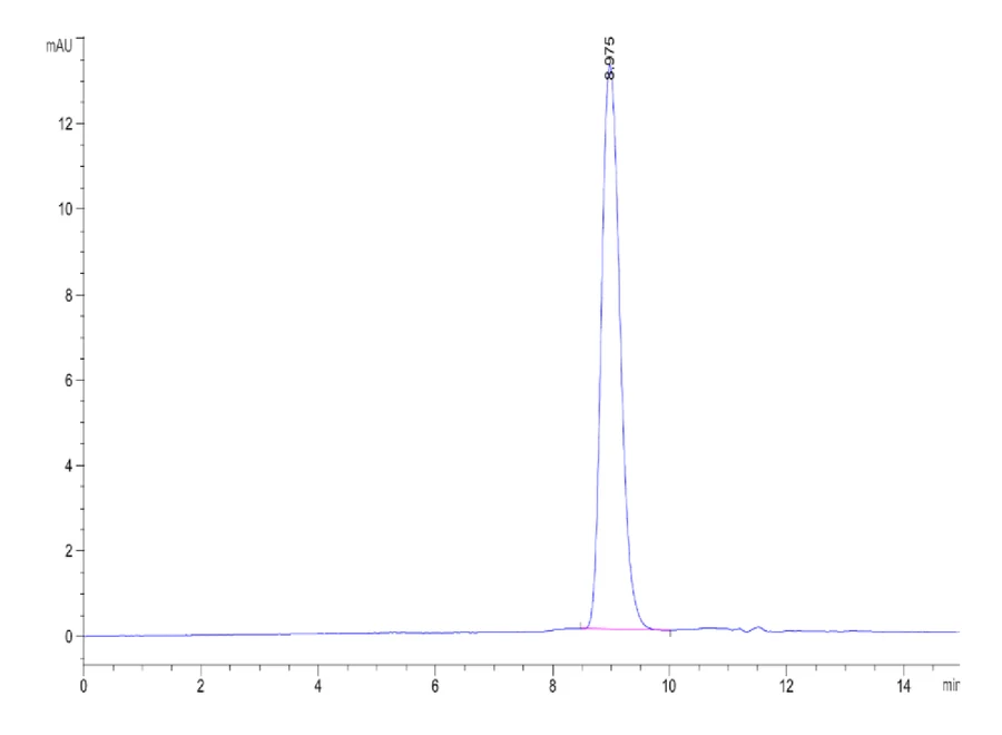 RGMC-HB001 SEC-HPLC result