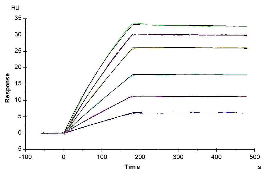RIIA-HF001 SPR result