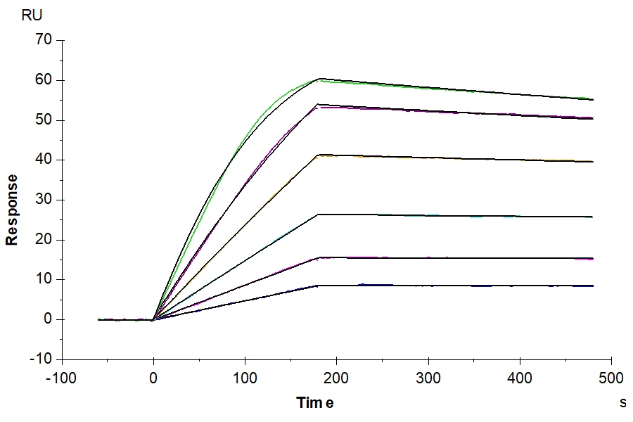 RIIB-HB001 SPR-2 result