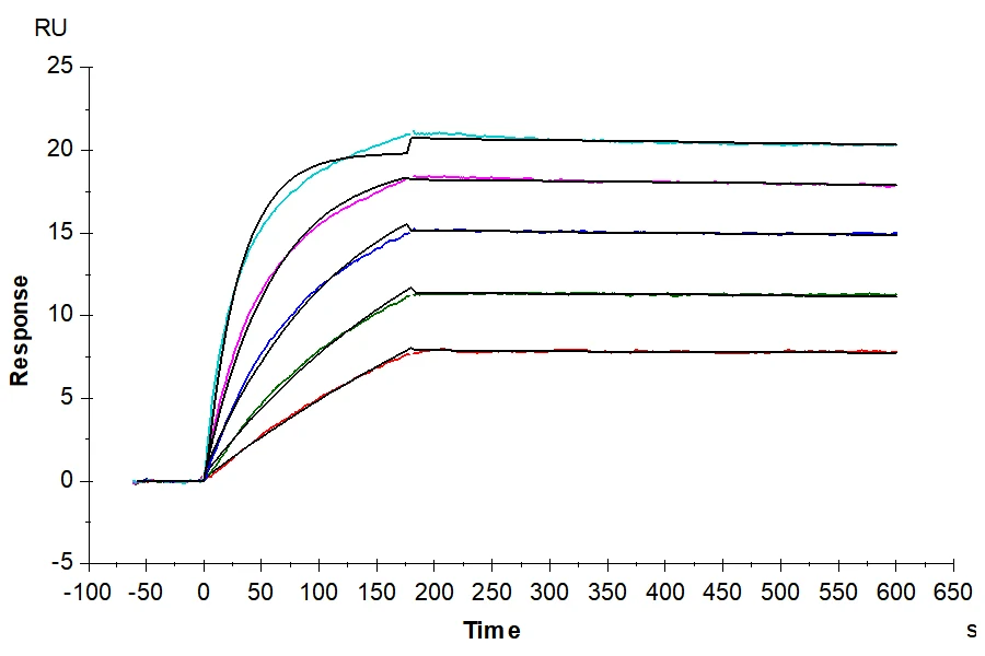 RIIB-HB001 SPR-3 result