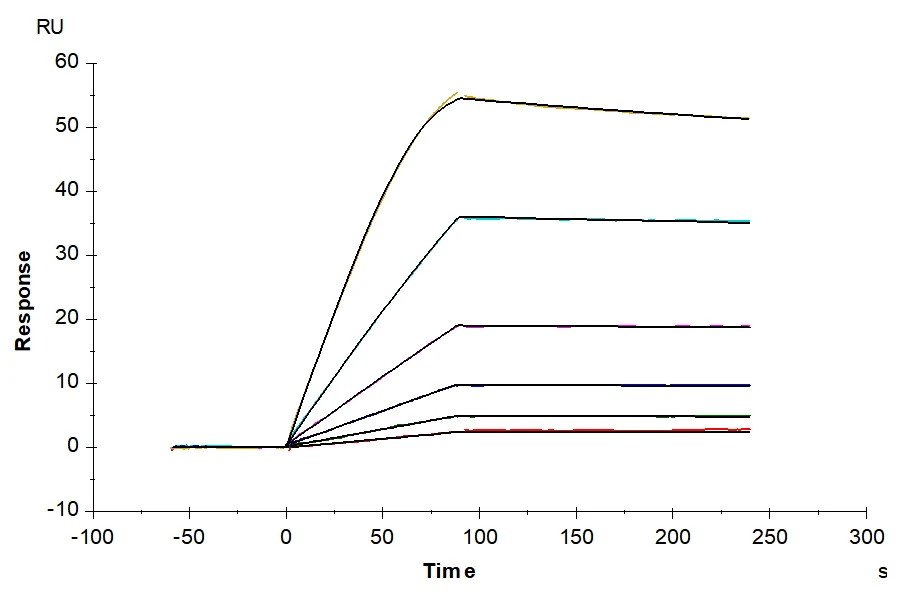 RIIB-HF001 SPR result